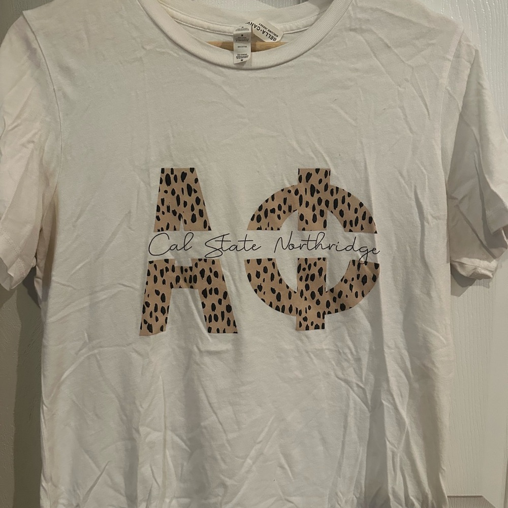 Alpha Phi Graphic soft Tshirt
